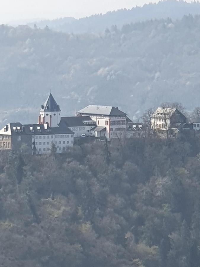 Villa Zur Koenigslay Bullay Exterior foto